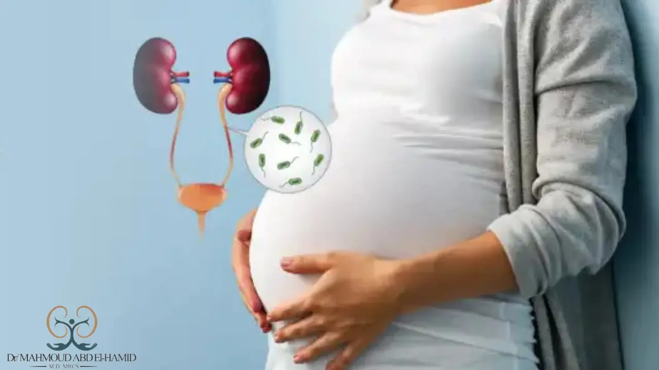 اعراض التهاب المسالك البولية للحامل